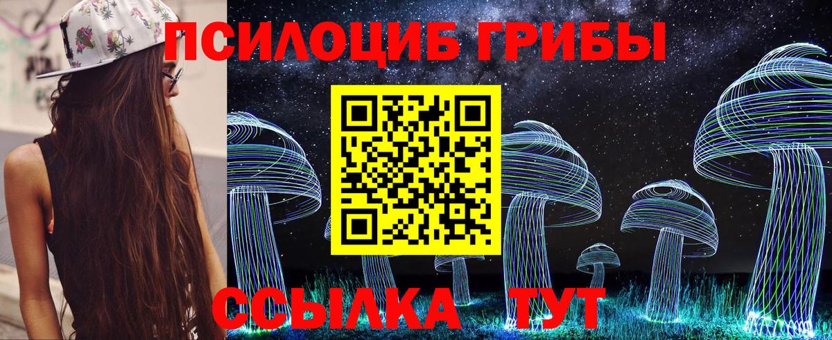 Галлюциногенные грибы Cubensis Муром